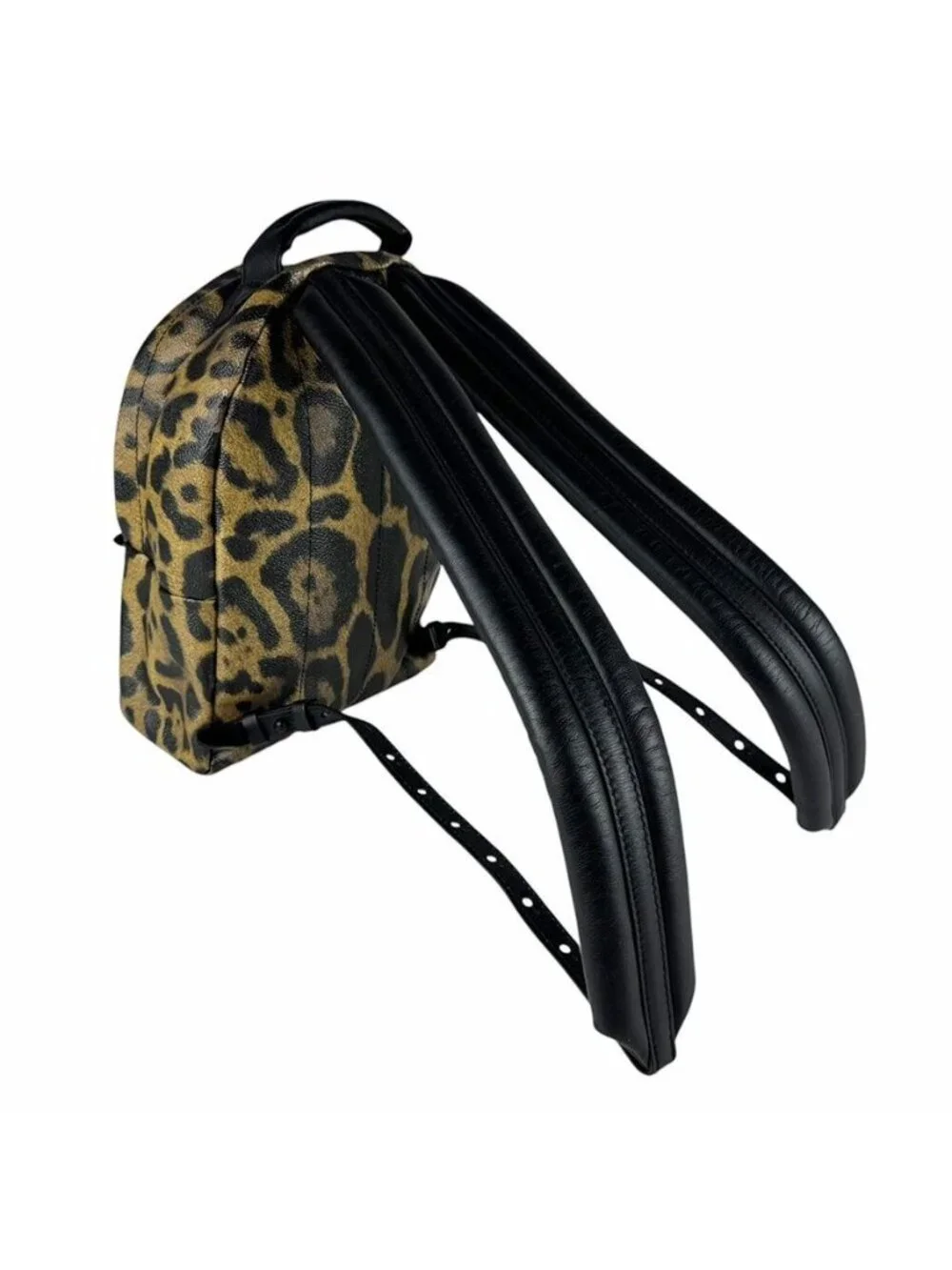 Louis Vuitton Backpack Palm Springs